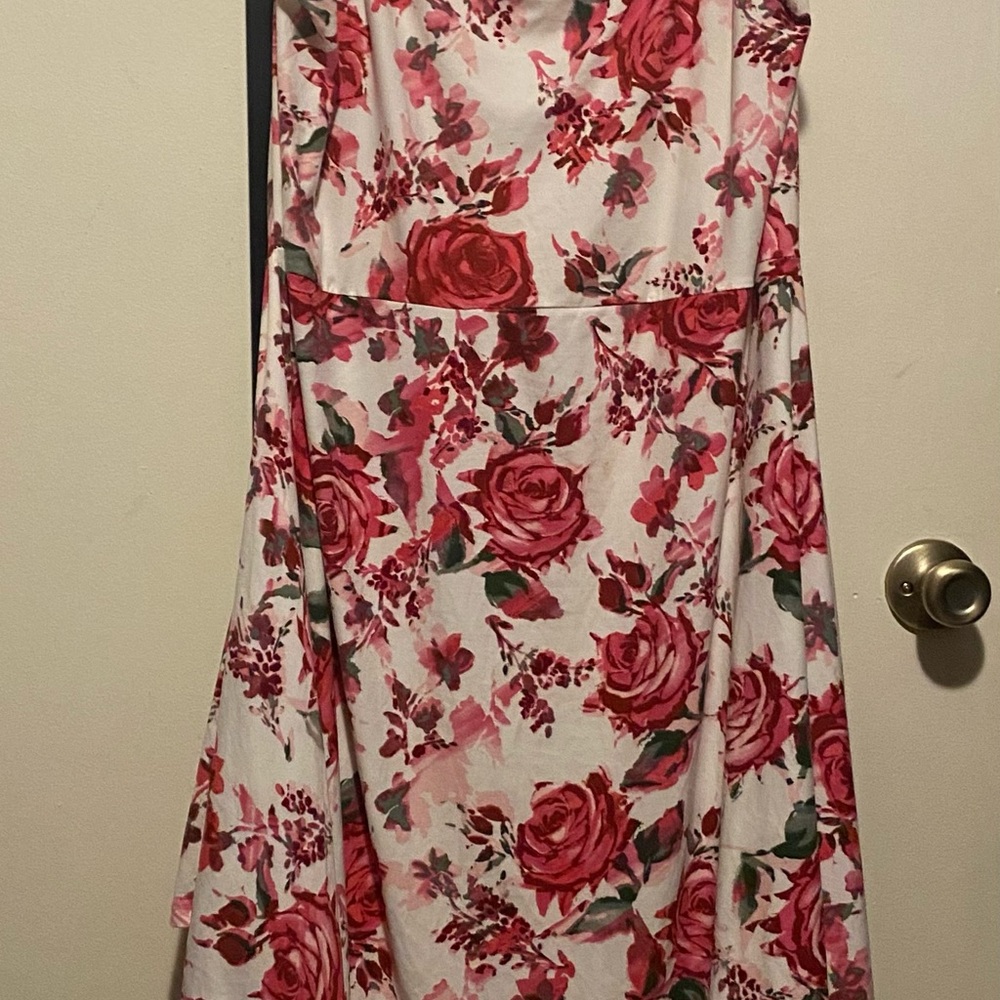 Floral Pink and Red Women's Dress